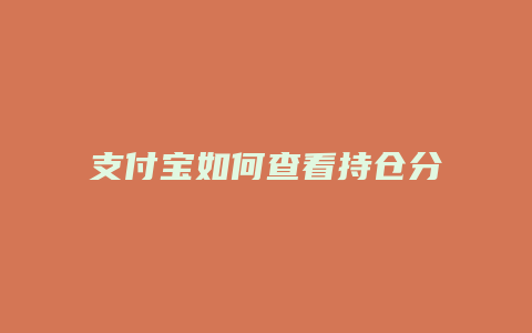支付宝如何查看持仓分析