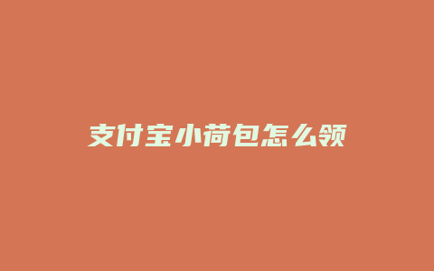 支付宝小荷包怎么领