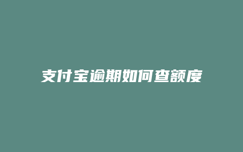 支付宝逾期如何查额度