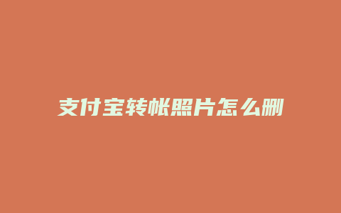 支付宝转帐照片怎么删