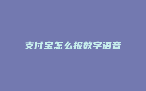 支付宝怎么报数字语音