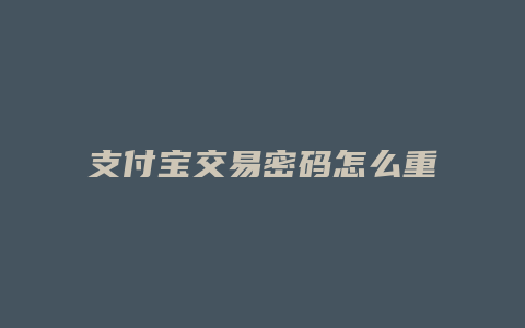 支付宝交易密码怎么重置