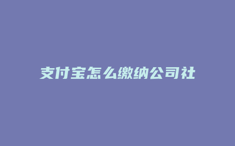 支付宝怎么缴纳公司社保