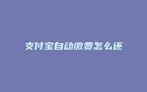 支付宝自动缴费怎么还款