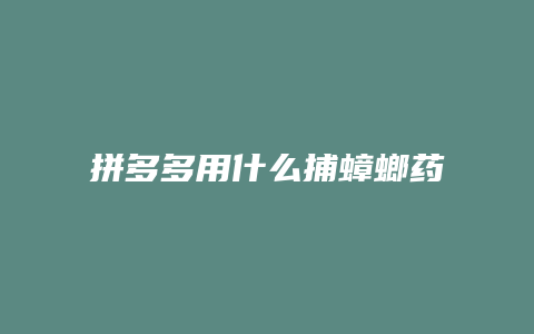 拼多多用什么捕蟑螂药