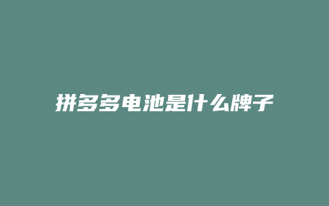拼多多电池是什么牌子